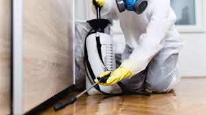 Best Fumigation Services  in Cheswick, PA